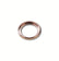 100-Pack, Autogrid Rings & C-Clips