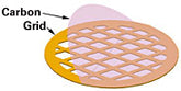 Negative Stain Grids - Carbon Film on Cu - 50 Pack